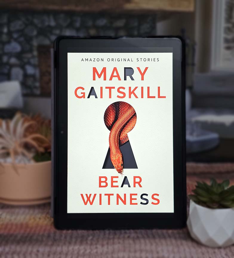 Bear Witness by Mary Gaitskill
